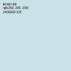 #CAE1E8 - Jagged Ice Color Image